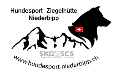 Webseite in Arbeit